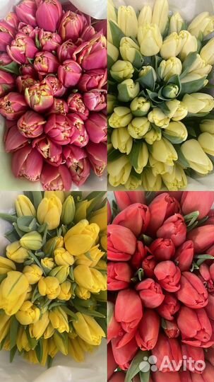 Тюльпаны по 20/25/50 штук розница