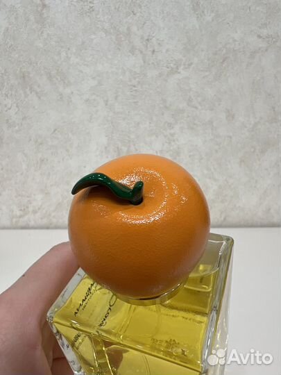 Dolce Gabbana Orange