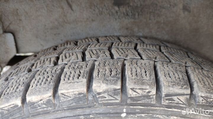 Dunlop Winter Maxx WM01 175/65 R14