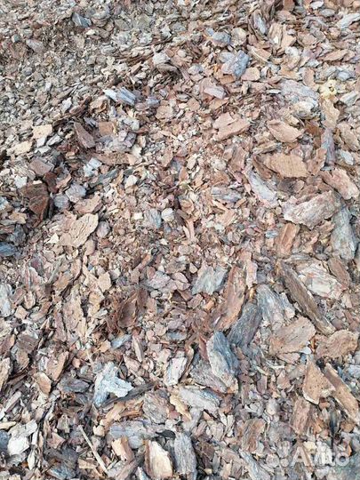 Кора сосны (мульча)