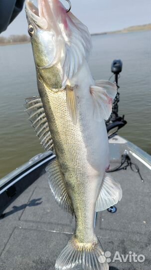 Рыбалка и отдых в Астрахани