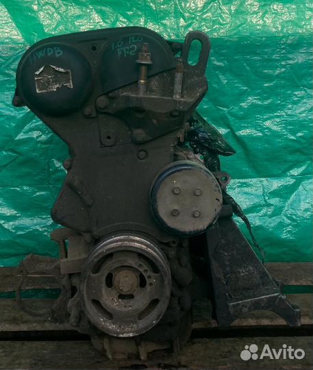 Двигатель Ford Focus 2 1.6 hwdb