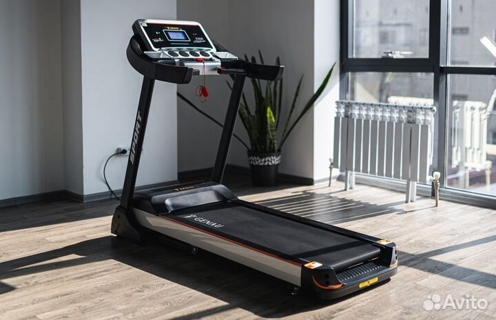 Беговые дорожки (помощь с выбором)