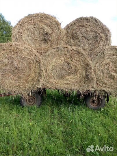 Сено в тюках