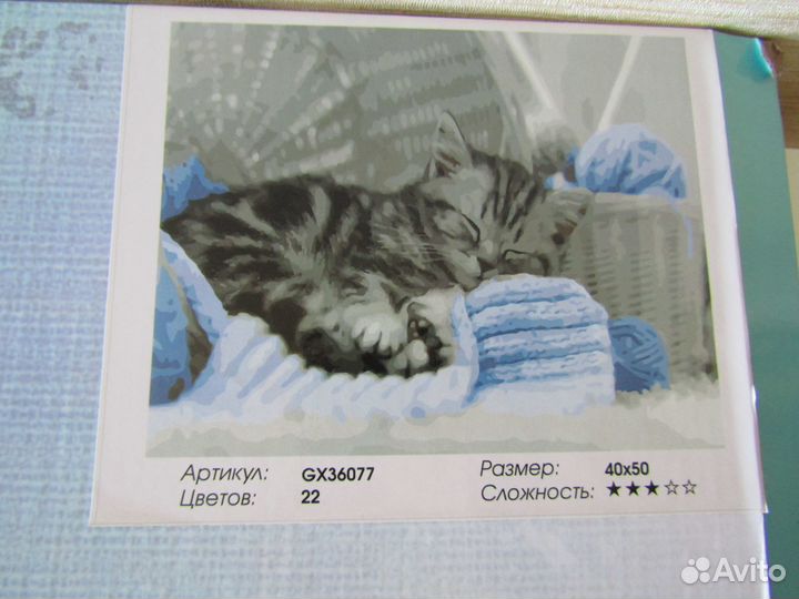 Картина по номерам. Не раскрашенная