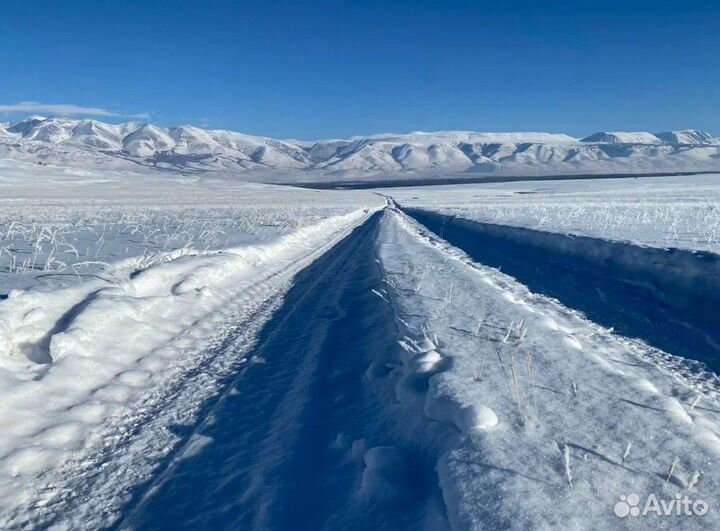 Тур Алтай зимний экспедиции от 5 до 9 дней