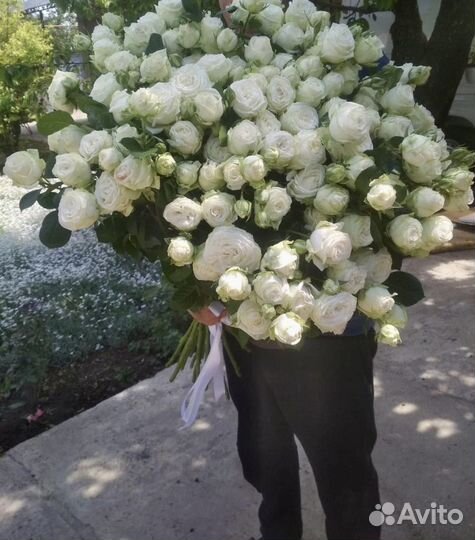 Пионовидные розы Метровые Доставка