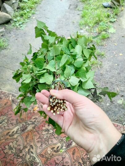 Дубовые, березовые веники для бани