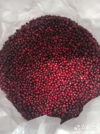 Продам свежую бруснику, клюкву