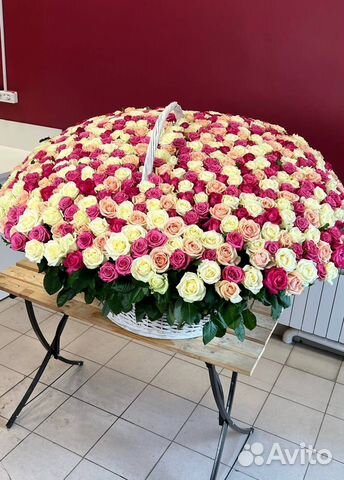 Розы голландские с доставкой 1001 шт