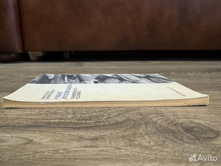 Повесть А.С. Пушкина Капитанская дочка 1971 г