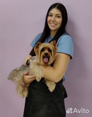 Стрижка собак-Экспресс-линька-Выезд на дом