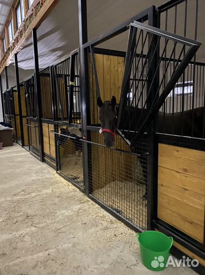 Денник ворота для лошадей