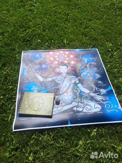 Проведение игры лила