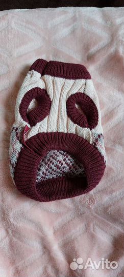 Свитер для кошки