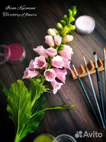 Интерьерные цветы. Наперстянка. Ручная работа