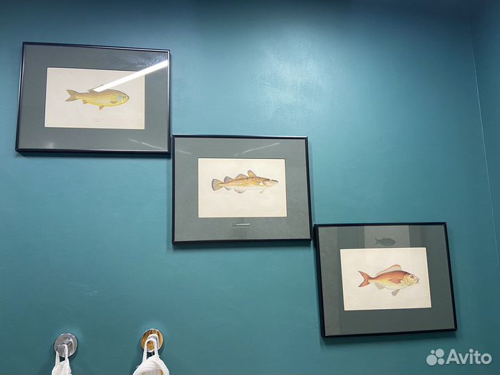 Старинная литография