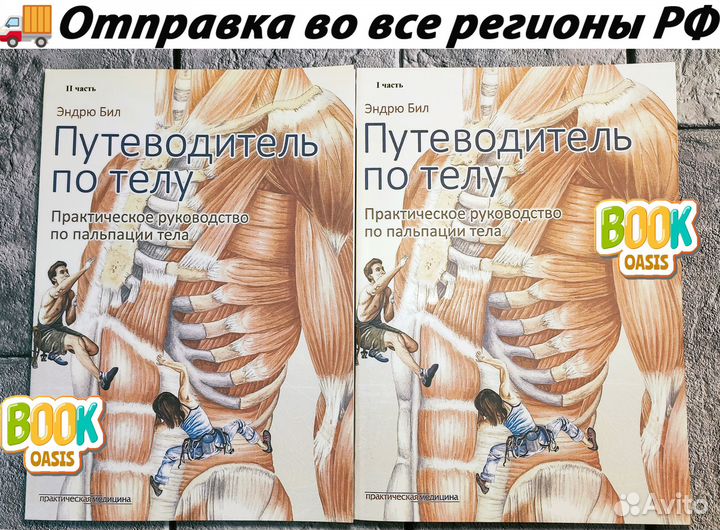 Путеводитель по телу Эндрю Бил 1, 2 часть NEW