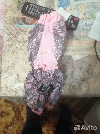 Одежда для собак мелких пород