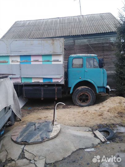 Пчелопавильон на базе