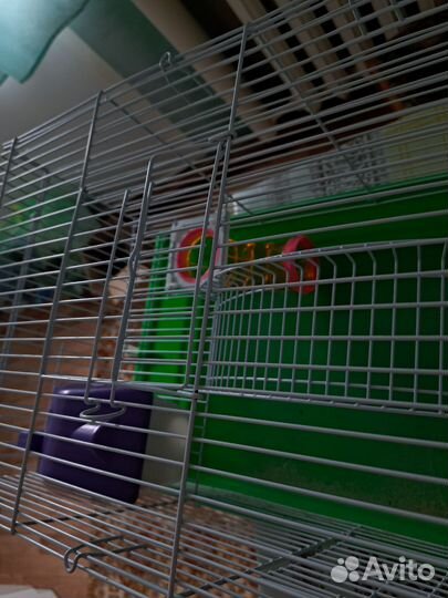 Клетка для грызунов