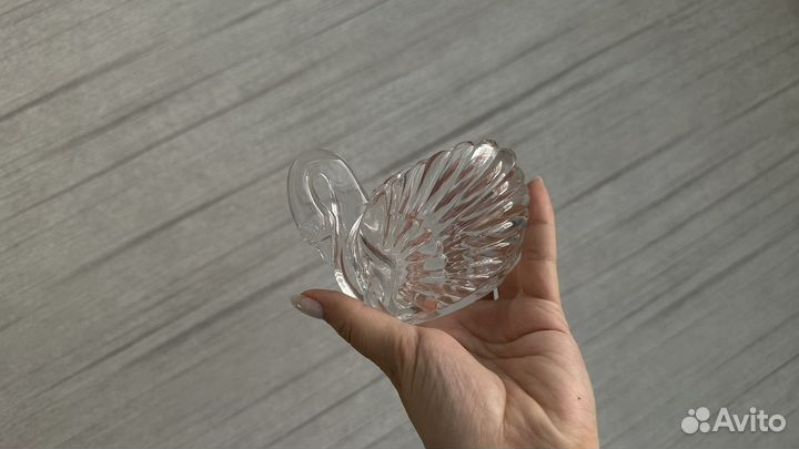 Икорница лебедь