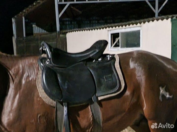 Седло престиж