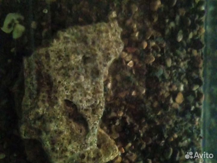 Аквариум с тумбой с крышкой