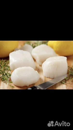 Морской гребешок филе