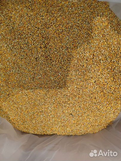 Пыльцы цветочная