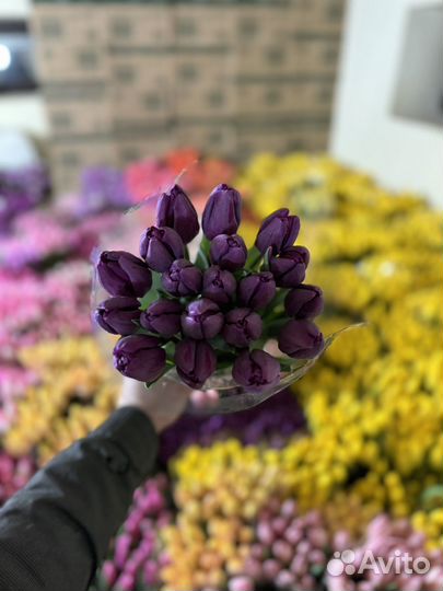 Тюльпаны на 8марта