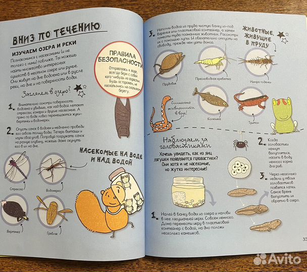 Удивительные насекомые.