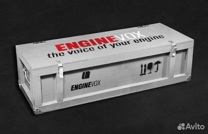 Выхлопная система Engine Vox для Tesla Model S