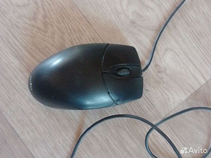Компьютерная мышь