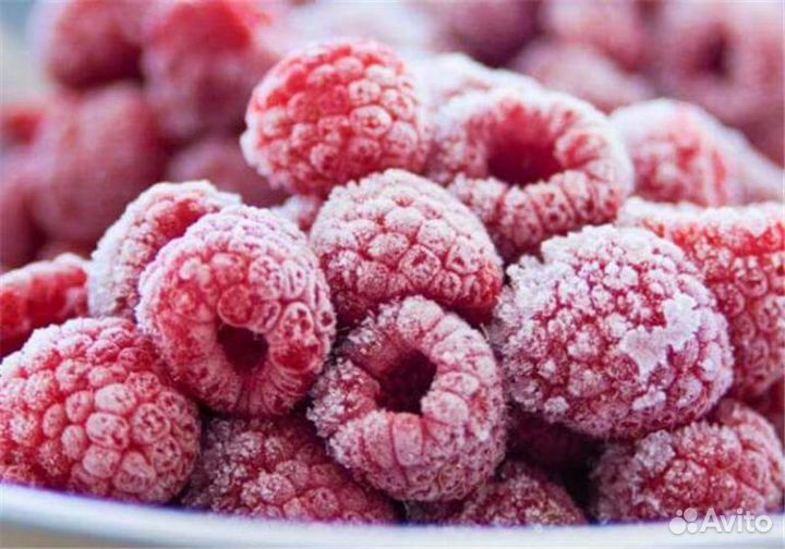 Заморож.\засуш. ягоды травы грибы овощи