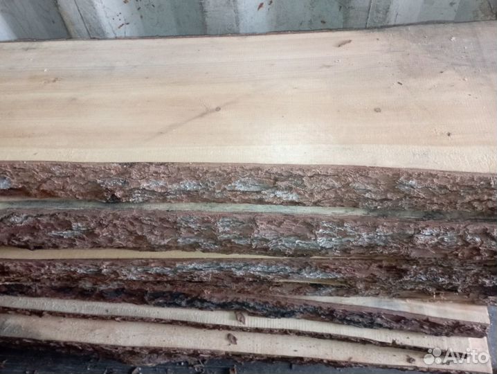 Доска кедр сухая необрезная Леший оптом