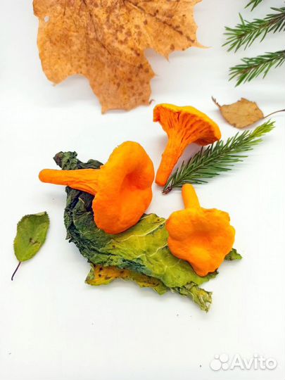 Ватная игрушка лисичка