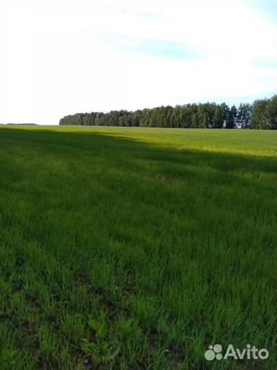 Продажа недвижимости в Вяземском районе