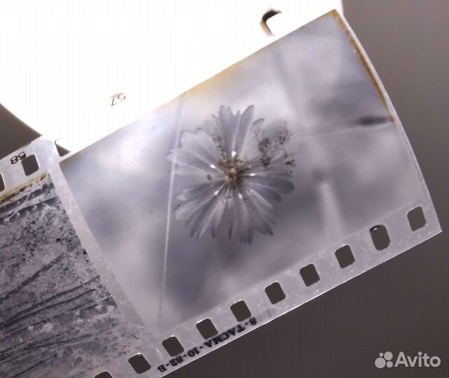 Плёночный фотоаппарат ломо Сокол