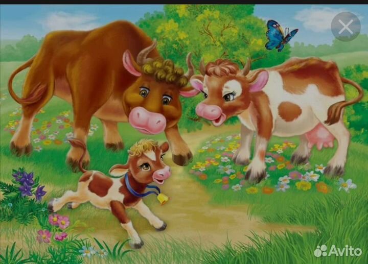 Продам коров, быков,телят