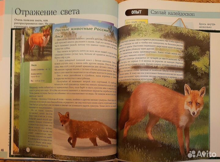 Научные опыты, Животные России