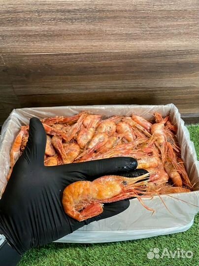 Креветка Ботан