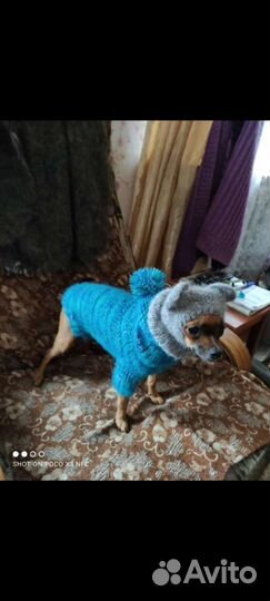 Комбинезон + шапочка