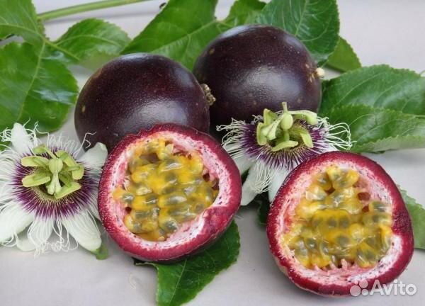Папайя питахайя гранадилла ананас пассифлора