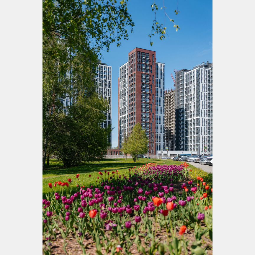 2-к. квартира, 48,6 м², 7/11 эт.