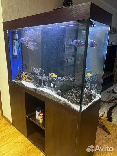 Аквариум с тумбой 375 литров