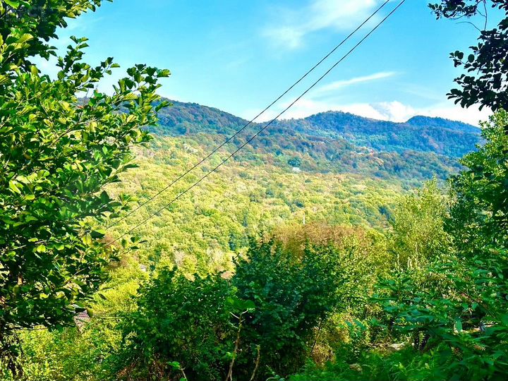 Участок 4 сот. (ИЖС)