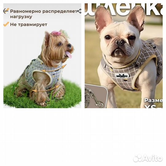 Шлейка жилет для кошки для собаки с поводком S