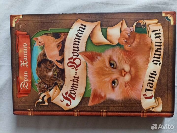 Книги коты воители