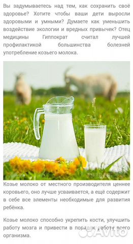 Козье молоко